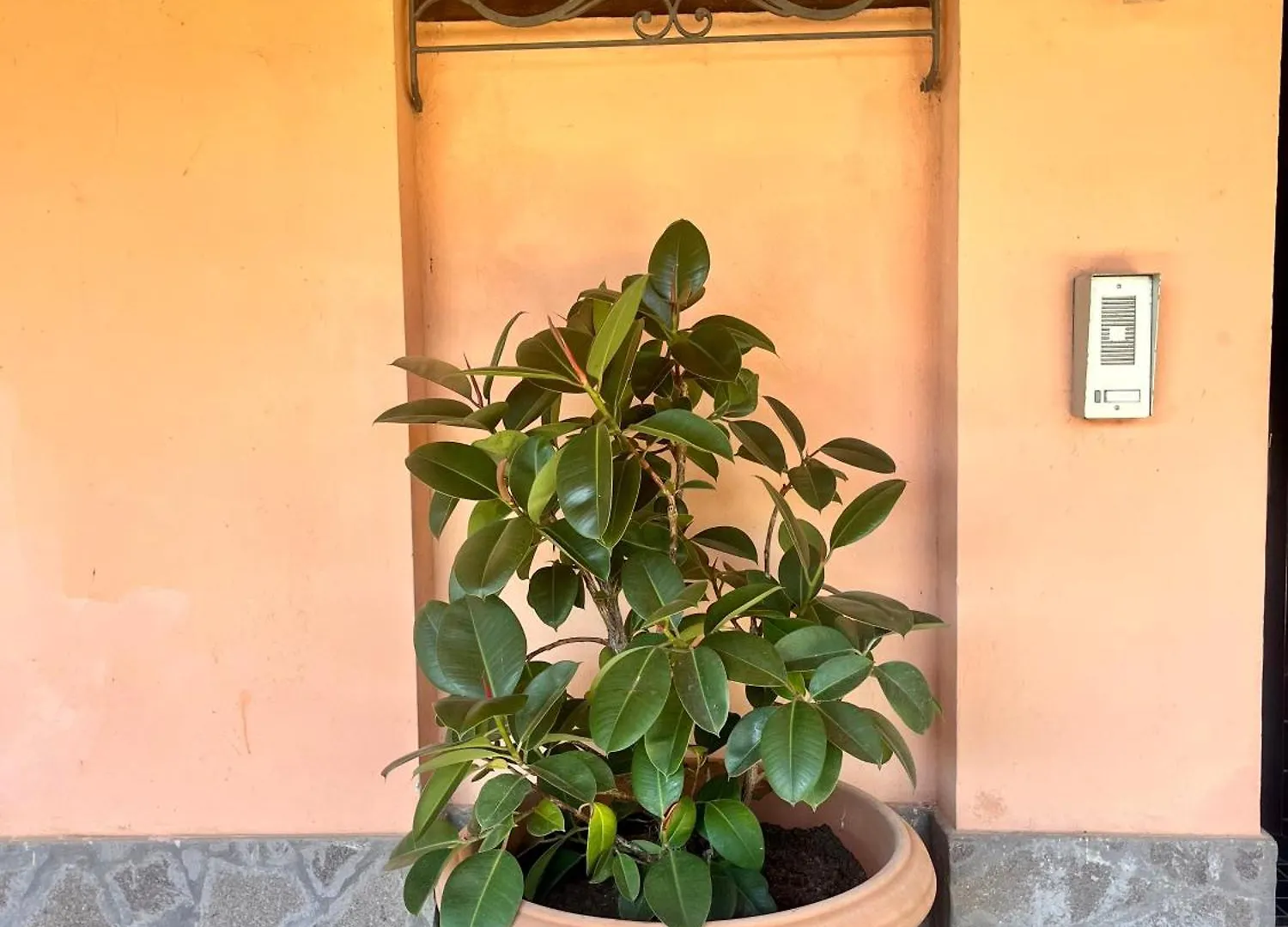 Villa Chiusagrande Campiglia Marittima