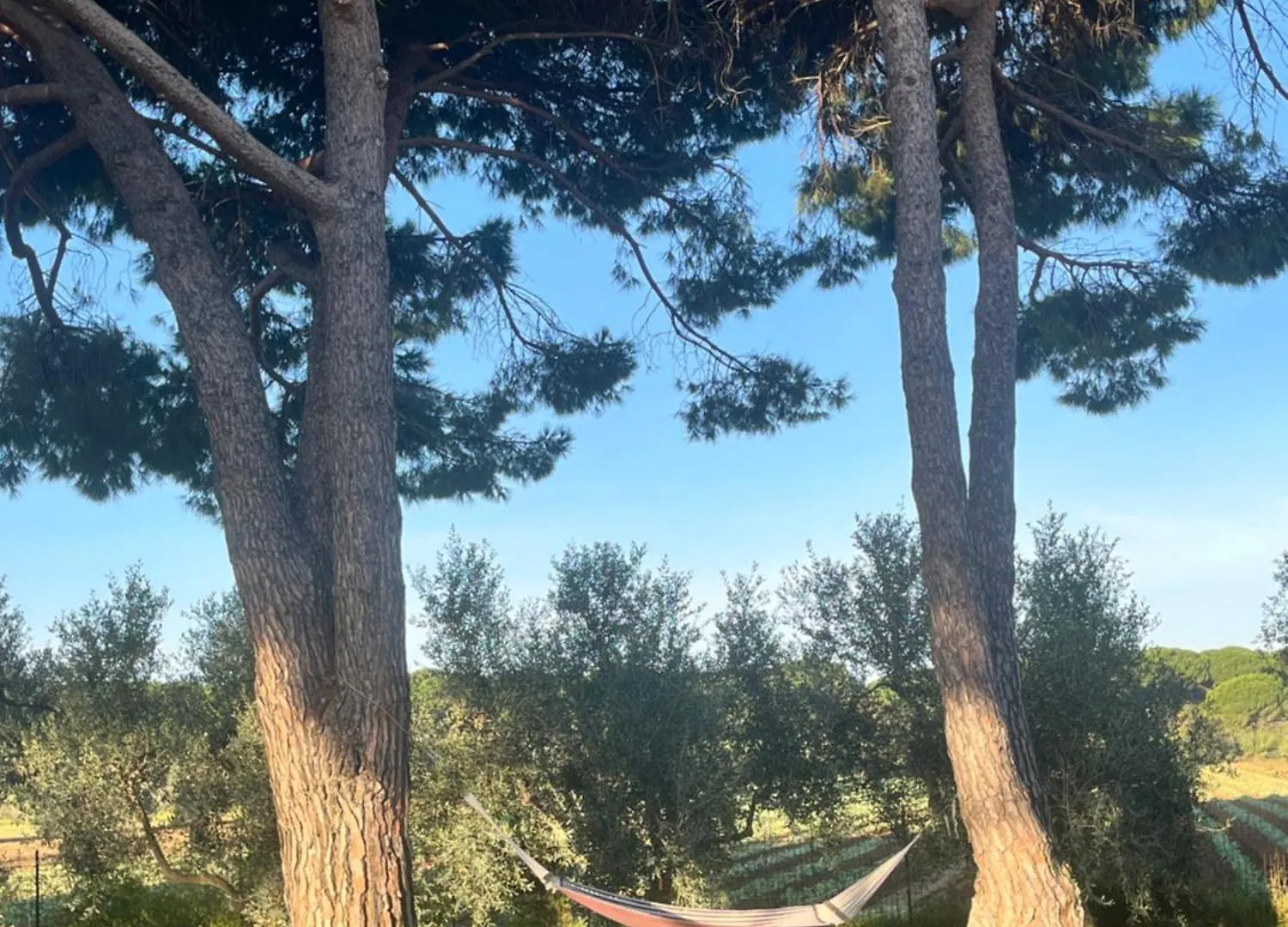 Villa Chiusagrande Campiglia Marittima Dom wakacyjny